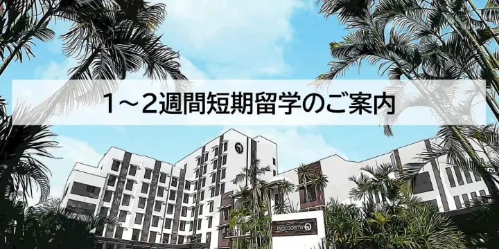 学校別 情報一覧(6)