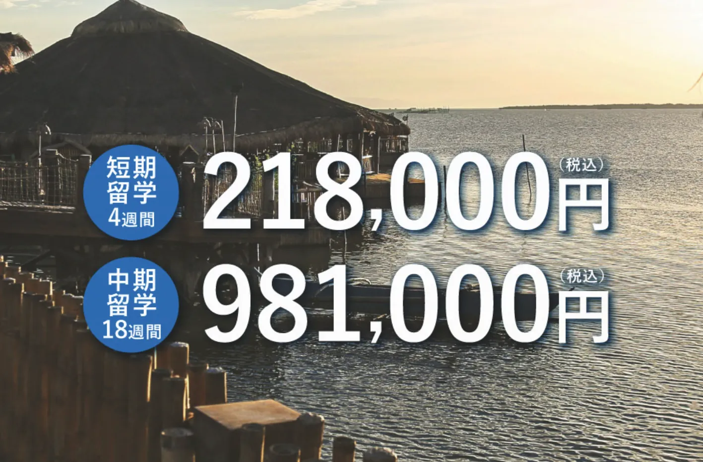 セブ島留学を考えてる、大学生必見!!!