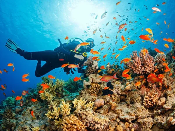 フィリピン おすすめ ダイビングスポット 10選|9. セブ・マクタン島(Cebu Mactan)